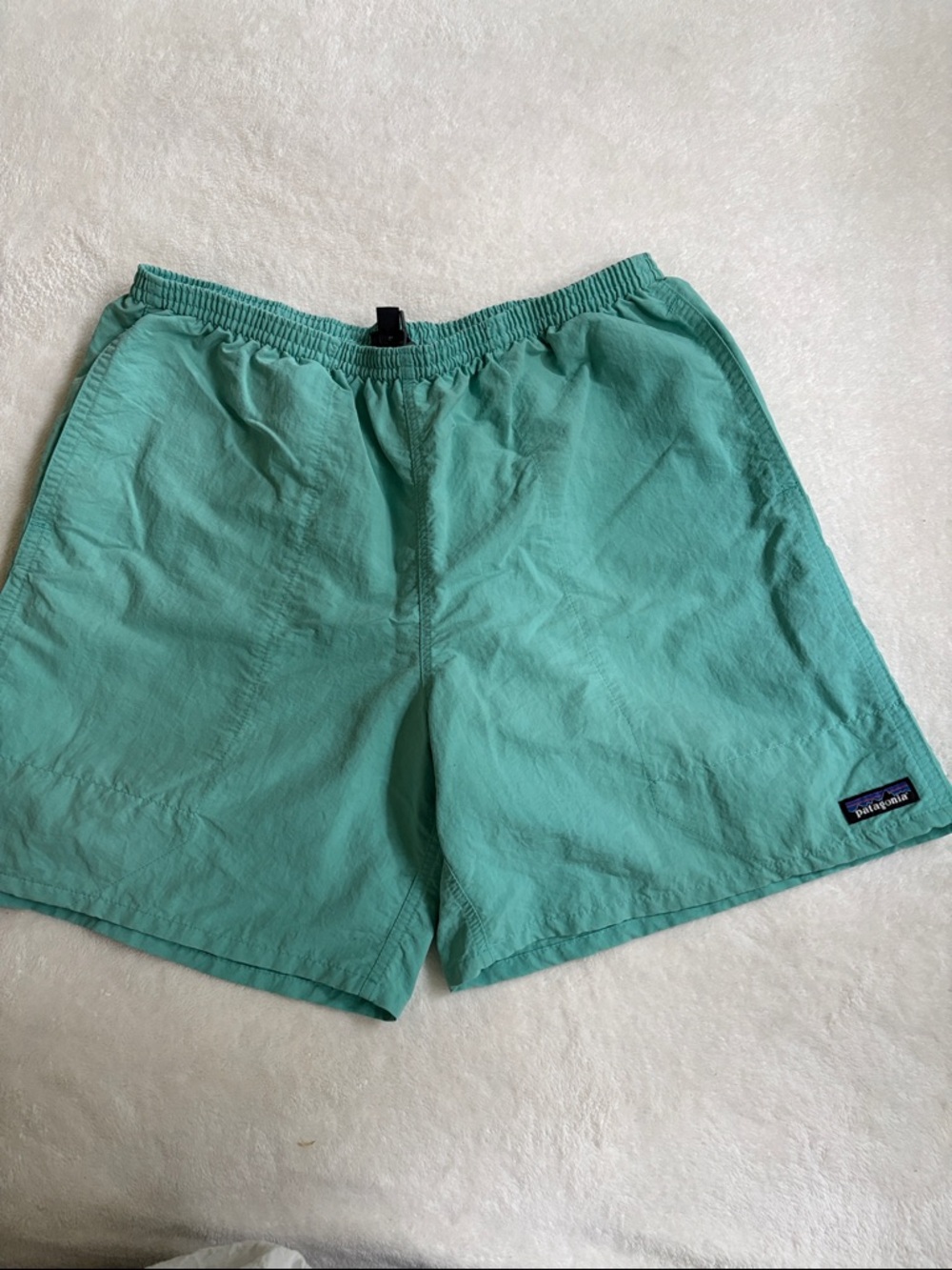 Patagonia Teal Green Lightweight Unlined Shorts